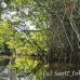 lake_mandicocha_la_h_0143_ecu0846.jpg
